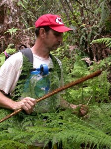 Courtesy Photo: Pat Bily with Dryopteris tetrapinnata fern. © Hank Oppenheimer/Plant Extinction Prevention Program