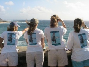 Photo Courtesy: Kevin Brammer, NOAA. Volunteers looking for humpback whales during the Sanctuary Ocean Count project on Oahu.