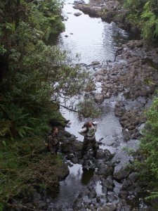 Courtesy Photo: (Left to right) Kerri Fay and Pat Bily, Wailua Iki. © Hank Oppenheimer/Plant Extinction Prevention Program