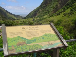 nawaieha_sign_01