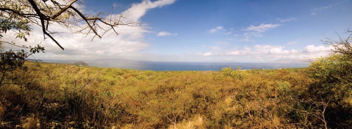 View towards the ocean from the Honua'ula property. Site Photograph Courtesy: Honua’ula Partners, LLC, and PBR Hawaii & Associates Inc.