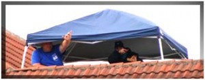 cop_on_top_330