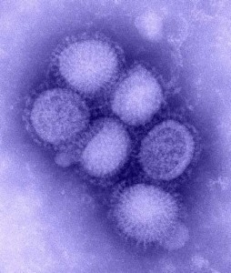h1n1_full