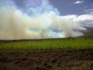 2_Maalaea Ukumehame Fire_June 2010_sm