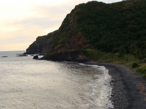 Kīpahulu coastline, file photo by Wendy Osher.