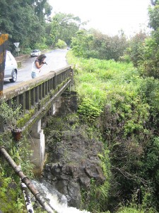 Makapipi Falls