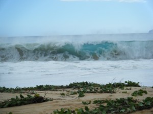 huge-big-beack-makena-maui-wave huge-big-beack-makena-maui-wave