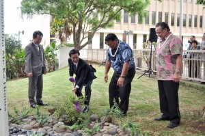 arakawa planting roses