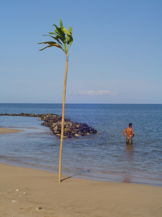 Maui fishpond photo by Wendy Osher.