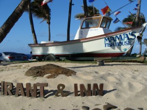 Mama's Fish House in Pāʻia, Maui. Photo by Wendy Osher.