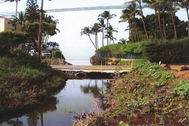 Waiakoa Culvert view of upstream headwall and inlet. Image courtesy FEA filed by Munekiyo & Hiraga, Inc., prepared for the County of Maui, Department of Public Works.