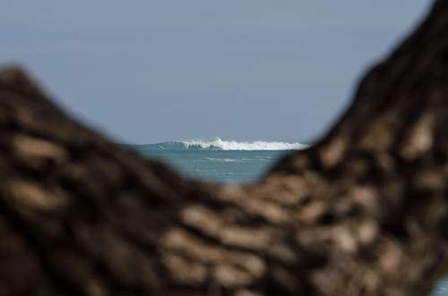Another advisory level swell is expected to reach our winter shorelines today and building into the weekend. This is a file photo of Kahului Harbor's Pier 1 taken last month. Photo by Riley Yap.