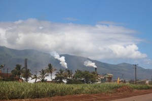 The Puunene Sugar Mill seen from Hansen Road Photo by Wendy Osher.
