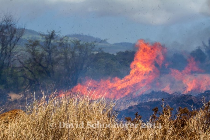 Fire located along the Piʻilani Hwy in South Maui, April 16, 2014. Photo courtesy David Schoonover.