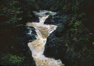 ʻOheʻo Gulch in East Maui region of Kīpahulu. Photo courtesy Haleakalā National Park.