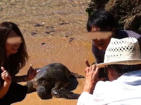 These photos illustrate DLNR’s concern with people getting too close to green sea turtles (honu) at Ali‘i Beach.