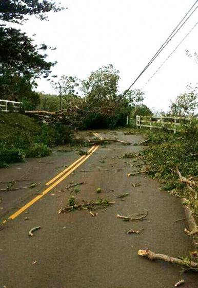 Photo by Seth Welcker. Trees and electric lines down on the Kula Highway past the ʻUlupalakua General Store block access to transmitter sites for two Pacific Media Group stations that were knocked of the air by the storm. 8/8/14.