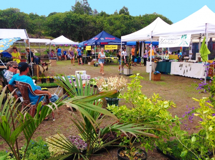 Upcountry Maui is the site of a trio of holiday-season Keokea Homestead Open Market events featuring fresh produce, crafts, food and entertainment. Photo courtesy: Department of Hawaiian Home Lands .