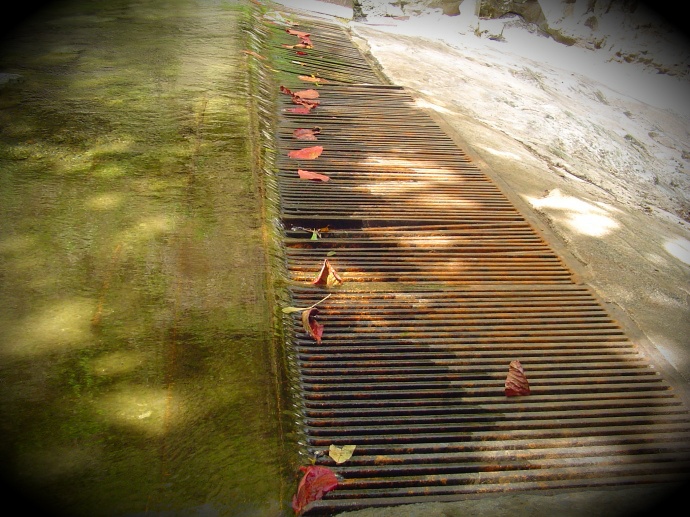 This grate above the Kepaniwai Heritage Park at Wailuku (ʻĪao) Stream is a source of contention as the Commission on Water Resource Management monitors the current use of old sugar company diversions. File photo by Wendy Osher © 2009.