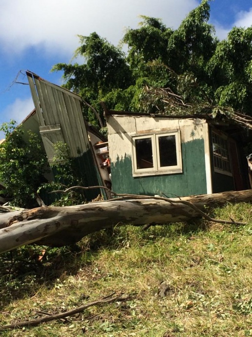"Upper kanaio my sister cristines house split in half by a huge tree. Luckily she had another tree miss the house and she decided to get in her car when the big tree fell through her house and landed on the car she was taking refuge in." 1/3/14 - Image: Anne Nason