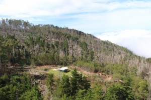 Aerial and ground photographs of Kula Forest Reserve and Polipoli Springs State Recreation Area