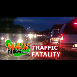 Traffic fatality. Graphic by Wendy Osher.
