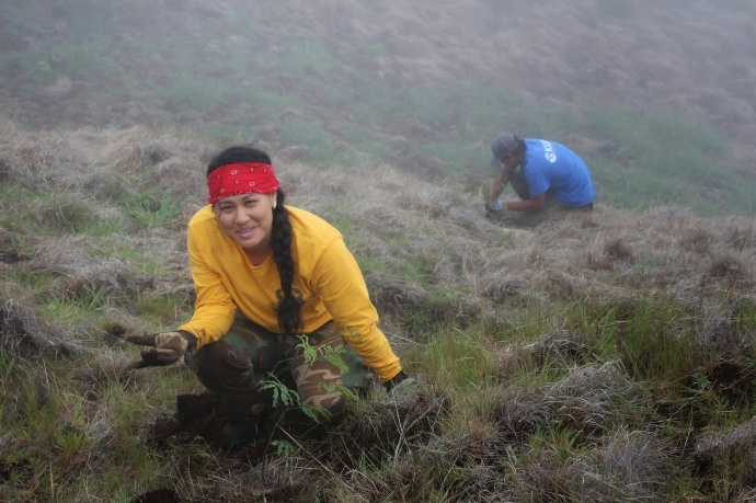 Kupu Hawai‛i Youth Conservation Corps volunteer Nōweo Kai outplanting trees at Nakula Natural Area Reserve, Maui. Photo by Kirsten Gallaher