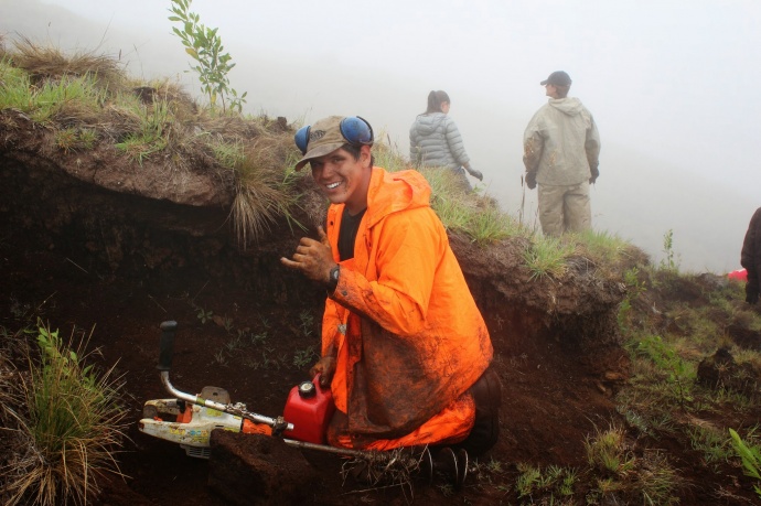 Division of Forestry and Wildlife staff outplanting trees at Nakula Natural Area Reserve, Maui. Photo by Kirsten Gallaher.