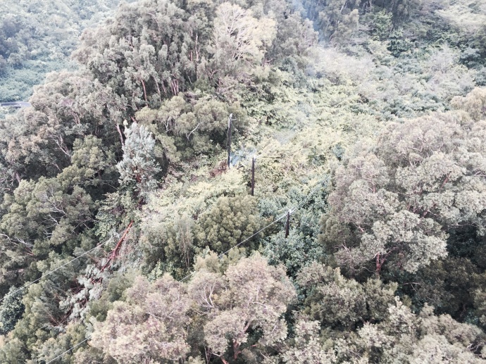 A large tree brought down electrical lines and damaged a pole on a ridge in Keanae cutting power to about 100 customers in Keanae and Nahiku. The remote area is only accessible by helicopter and Maui Electric crews are currently on the scene. However, due to the extent of the damage and location of the lines and pole, affected customers are asked to be prepared to be without power until tomorrow afternoon. Photo credit: Maui Electric.