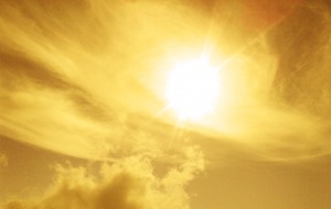Sunny Day. File photo by Wendy Osher.