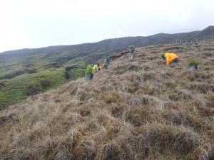 Nakula Natural Area Reserve