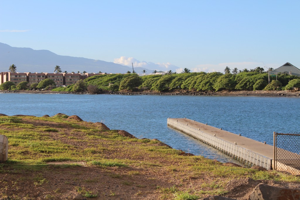 Kahului Harbor 7 a.m. 9/17/15. Photo by Wendy Osher.