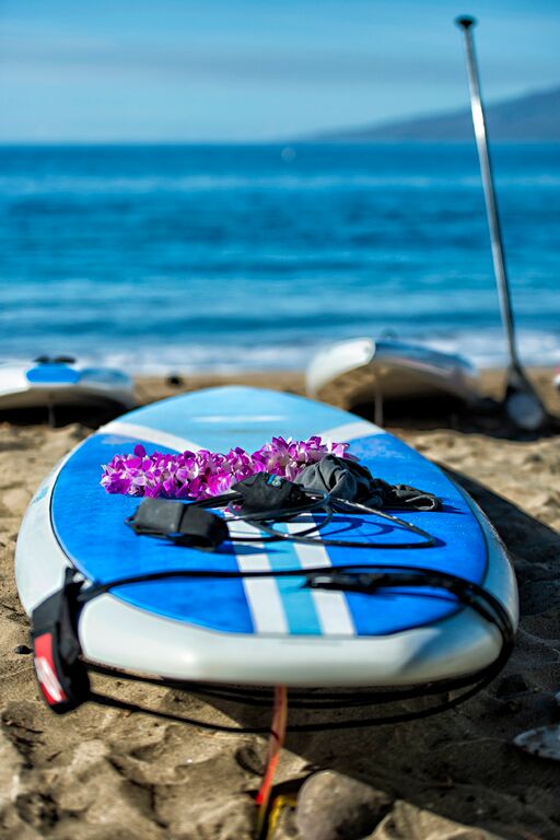 Paddle for a cure. File photo 2014. Image courtesy: Tegan Kopilenko.