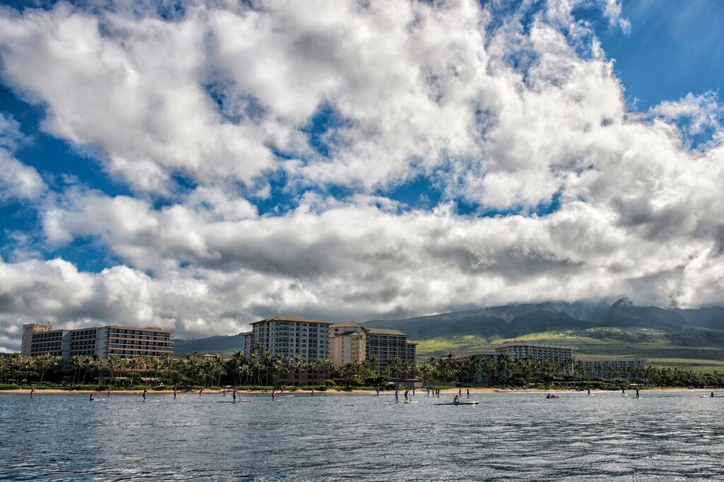 Paddle for a cure. File photo 2014. Image courtesy: Tegan Kopilenko.
