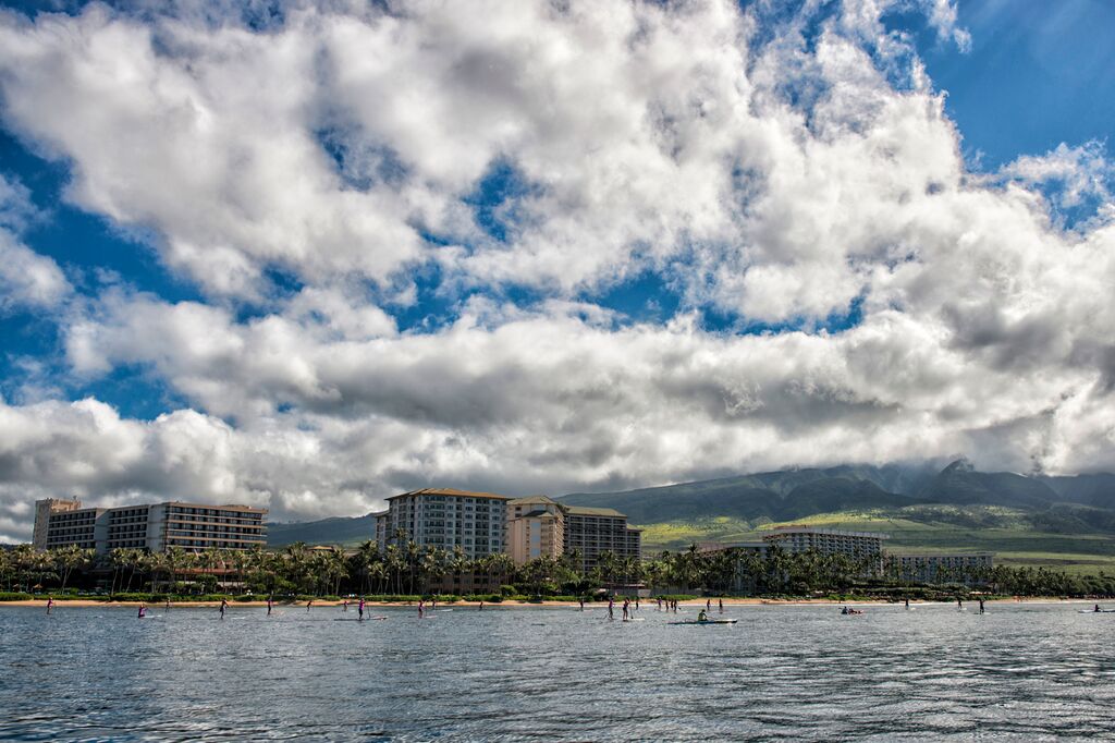 Paddle for a cure. File photo 2014. Image courtesy: Tegan Kopilenko.