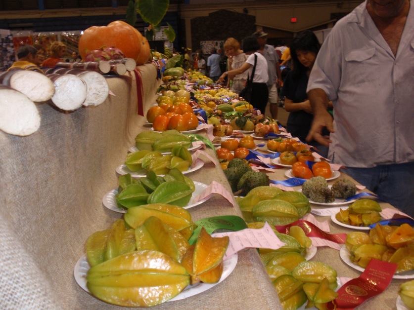 Photo courtesy Mae Nakahata.