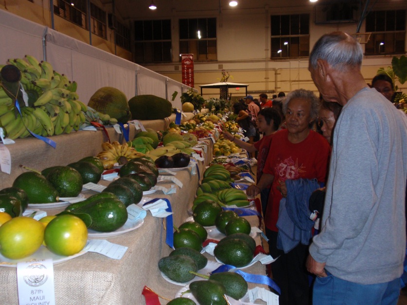Photo courtesy Mae Nakahata.