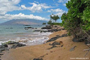 Kihei beach from Wikipedia.