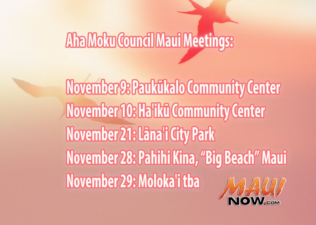 Maui Now graphics by Wendy Osher.