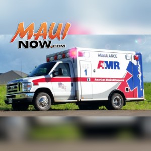 File photo by Wendy Osher. Maui Now graphics.