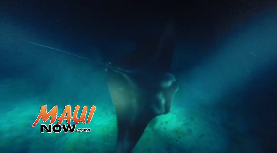 Image credit: DLNR.