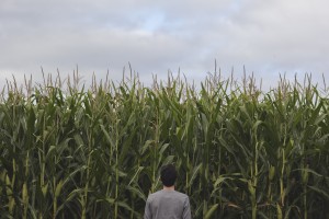 Corn image by Jake Melara, http://magdeleine.co.