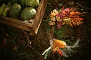 Fall bounty of local produce to be used at FEAST dinner event at Lumeria. Photo courtesy of Lumeria Maui.