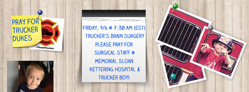 Image courtesy: Team Trucker Facebook page.