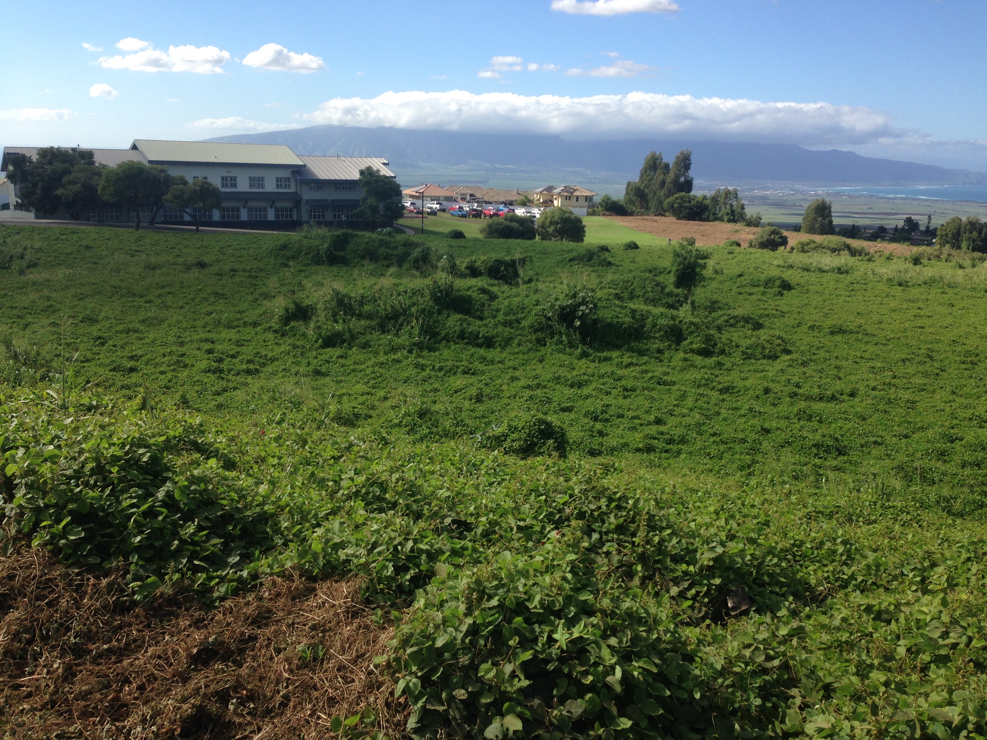 Kulamalu AffordableRental Project Breaks Ground Maui Now Hawaii News