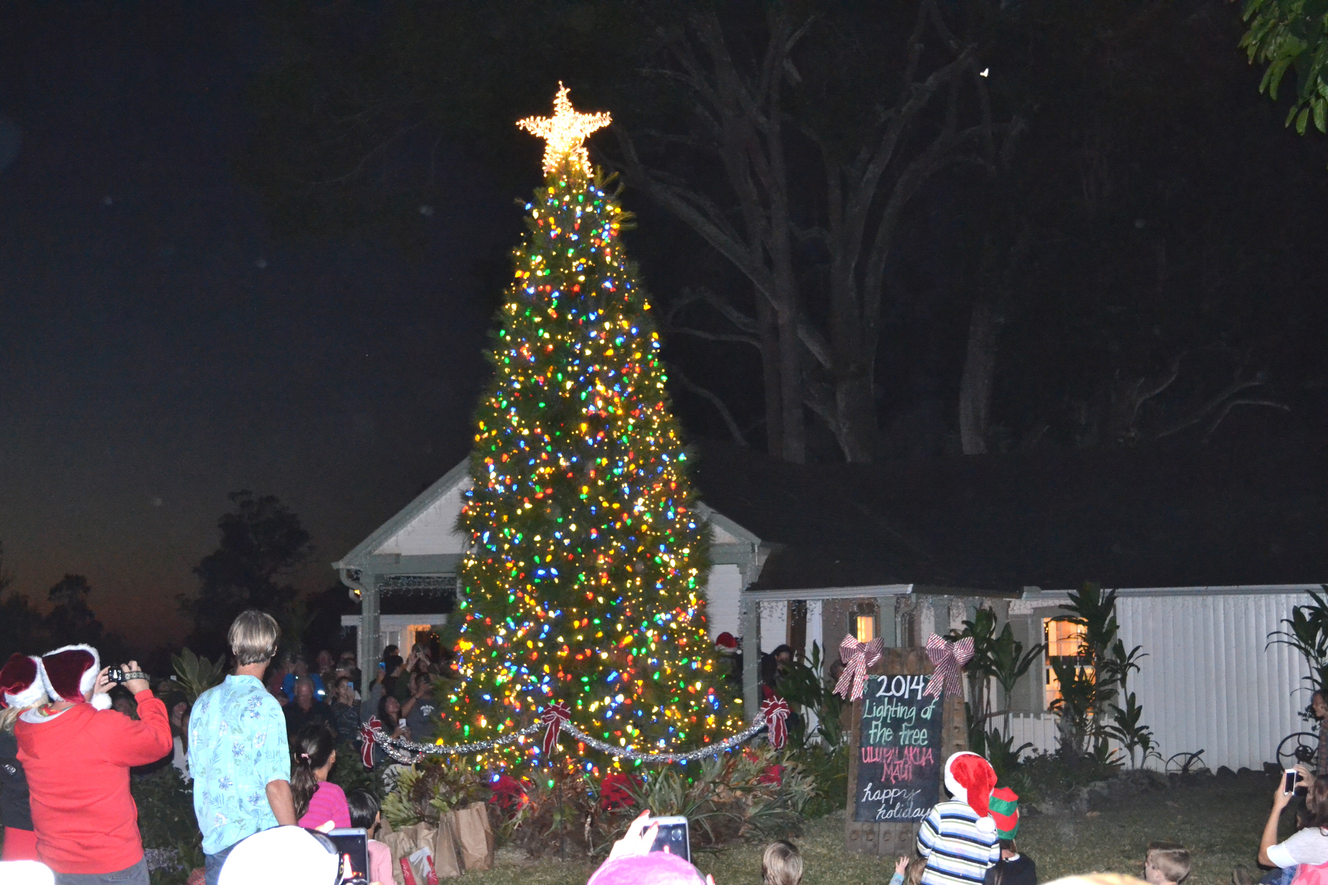 MauiWine's 2nd Annual Holiday Tree Lighting at ʻUlupalakua Maui Now