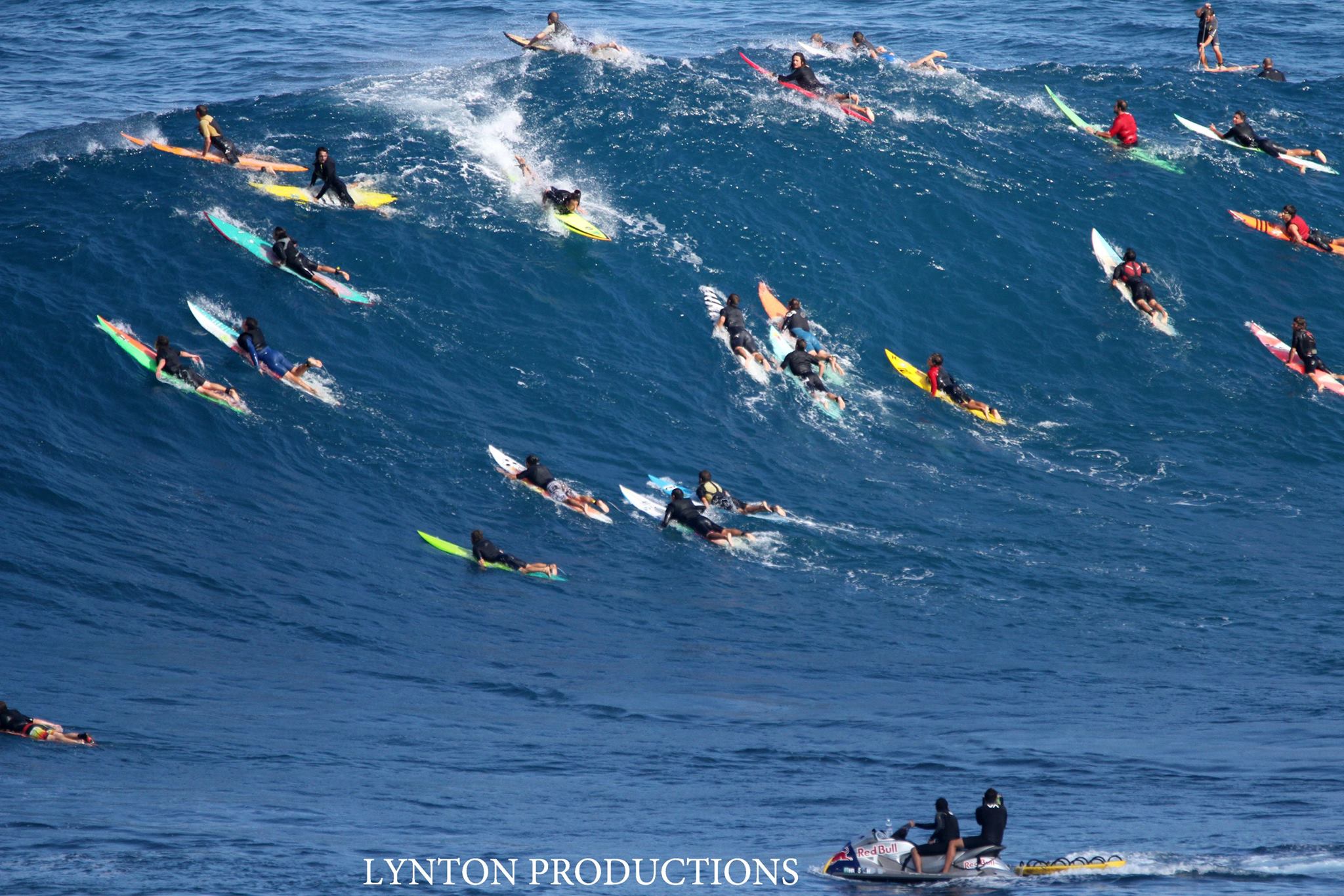 Image: Aaron Lynton