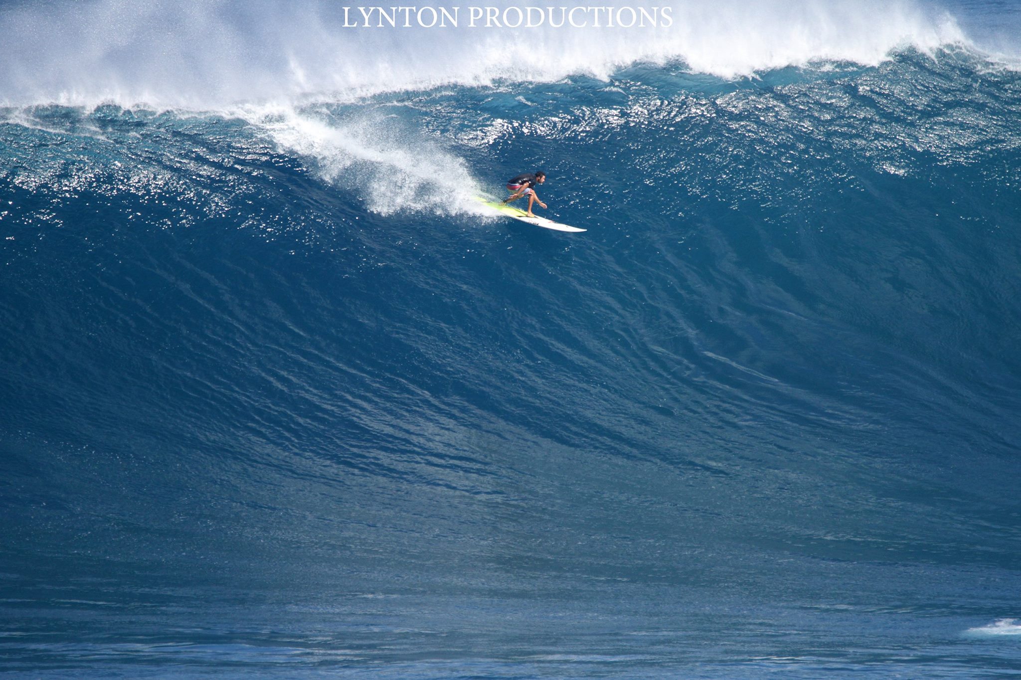 Image: Aaron Lynton