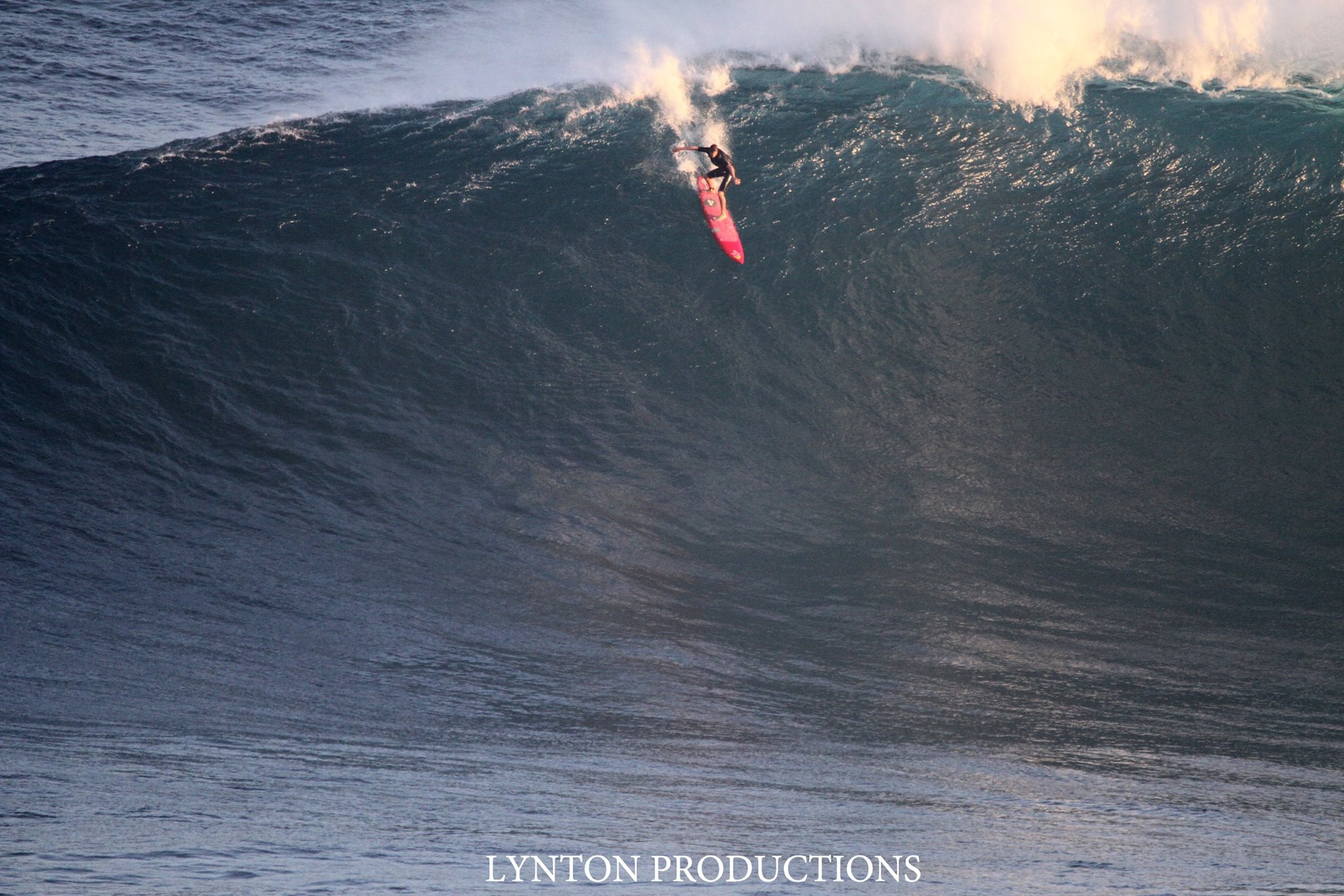Image: Aaron Lynton