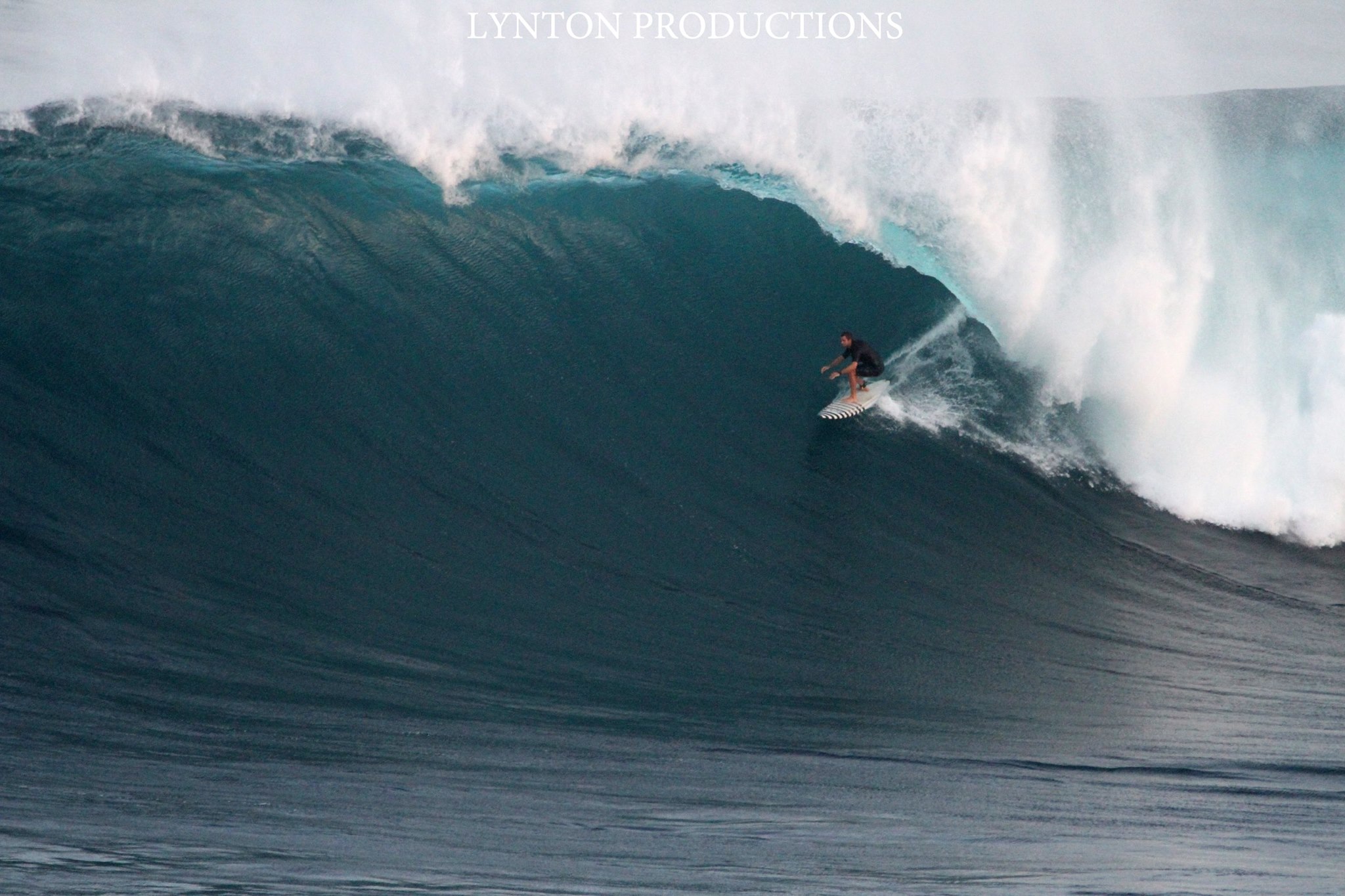 Image: Aaron Lynton